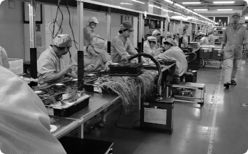 During Production Inspection (DUPRO)